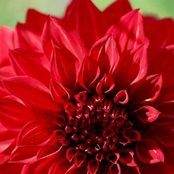 体育博彩棋牌游戏